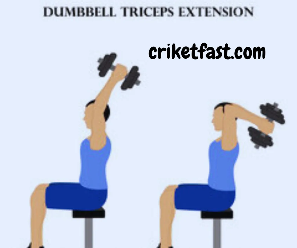 short head tricep exercises, lateral head tricep, long head tricep exercises, long head tricep exercises dumbbell, long head tricep exercises dumbbell